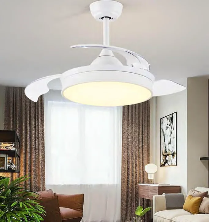 Ceiling fan with an integrated light in a catalogue room